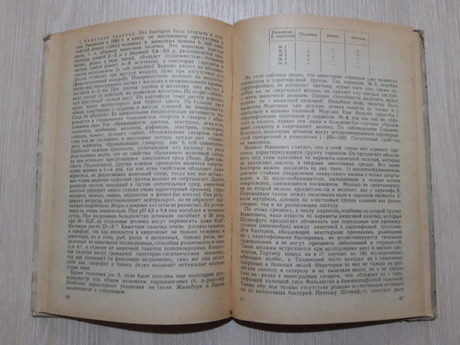 Казаков А.М. Микробиология мяса.