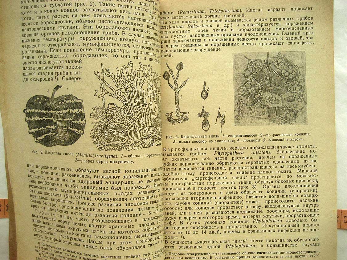 Никитинский Я. Микробиология скоропортящихся продуктов.