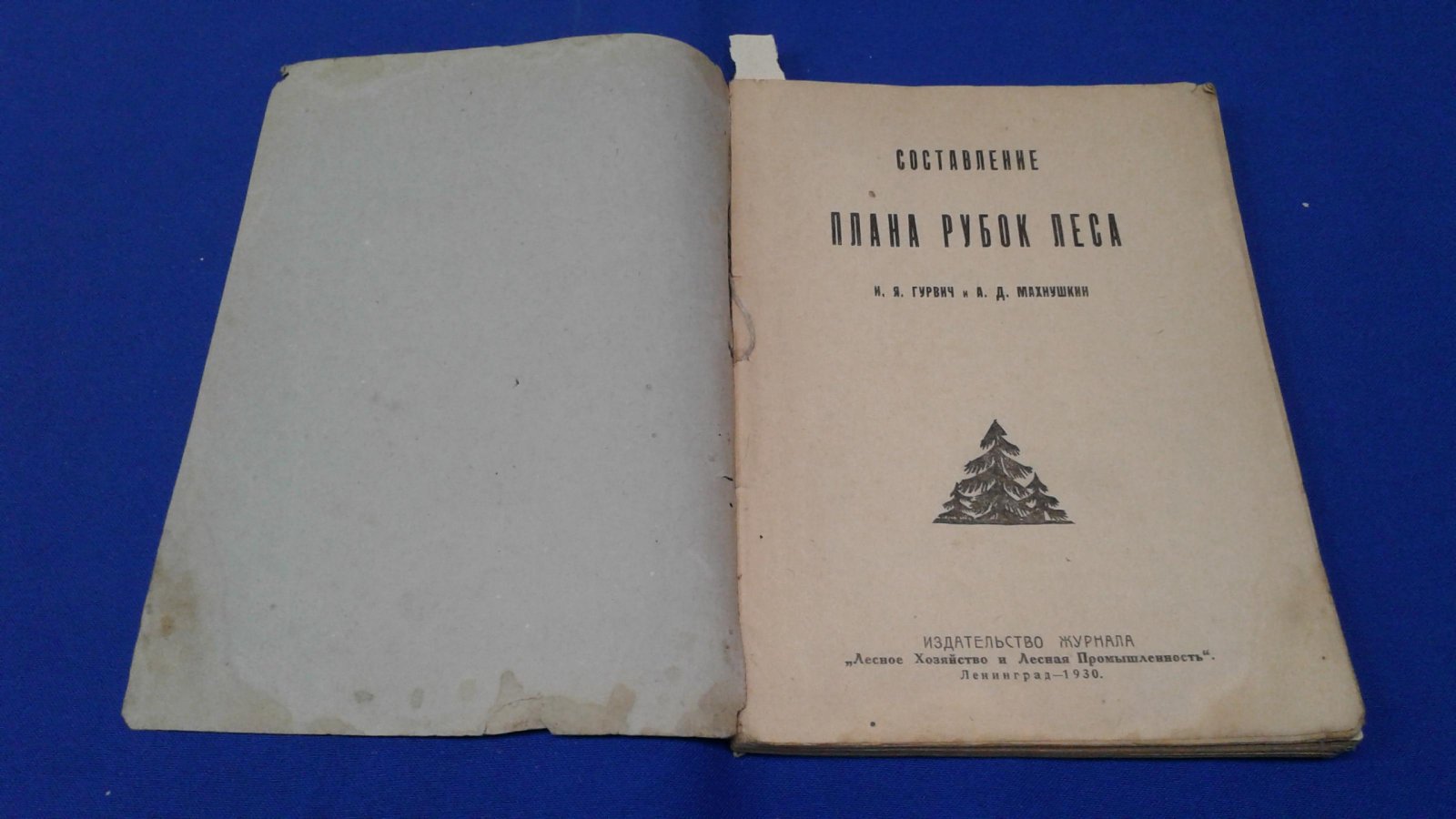 Гурвич И.Я.,  Махнушкин А.Д. Составление плана рубок леса.