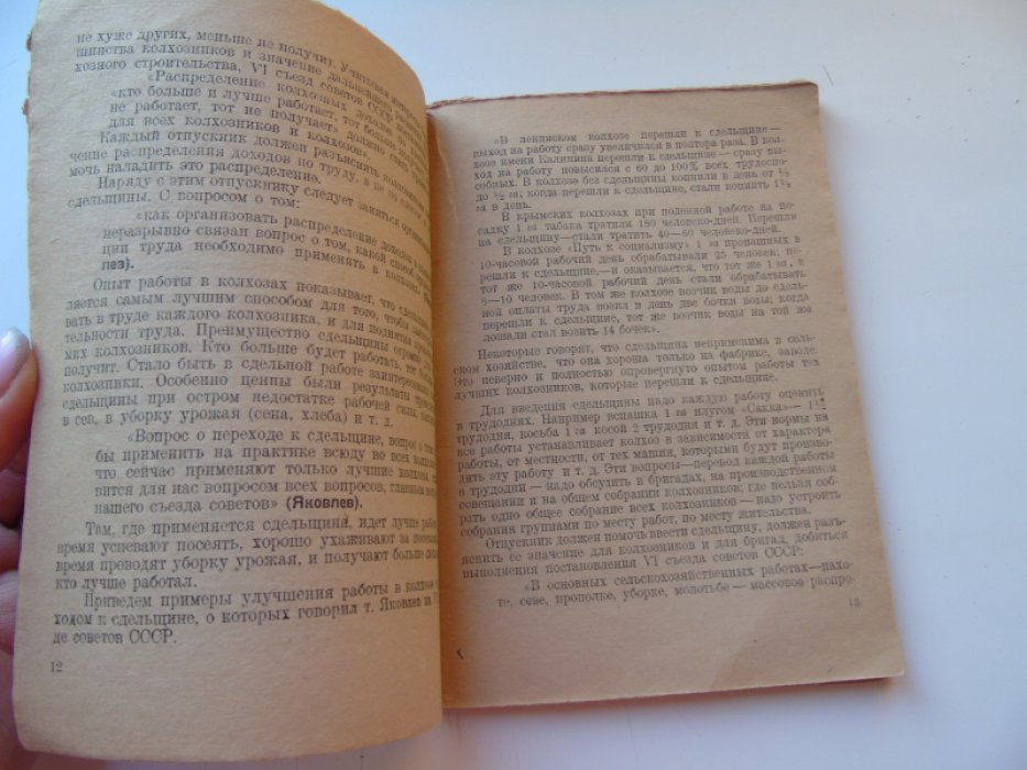 Зинин В. Отпускник в деревне.