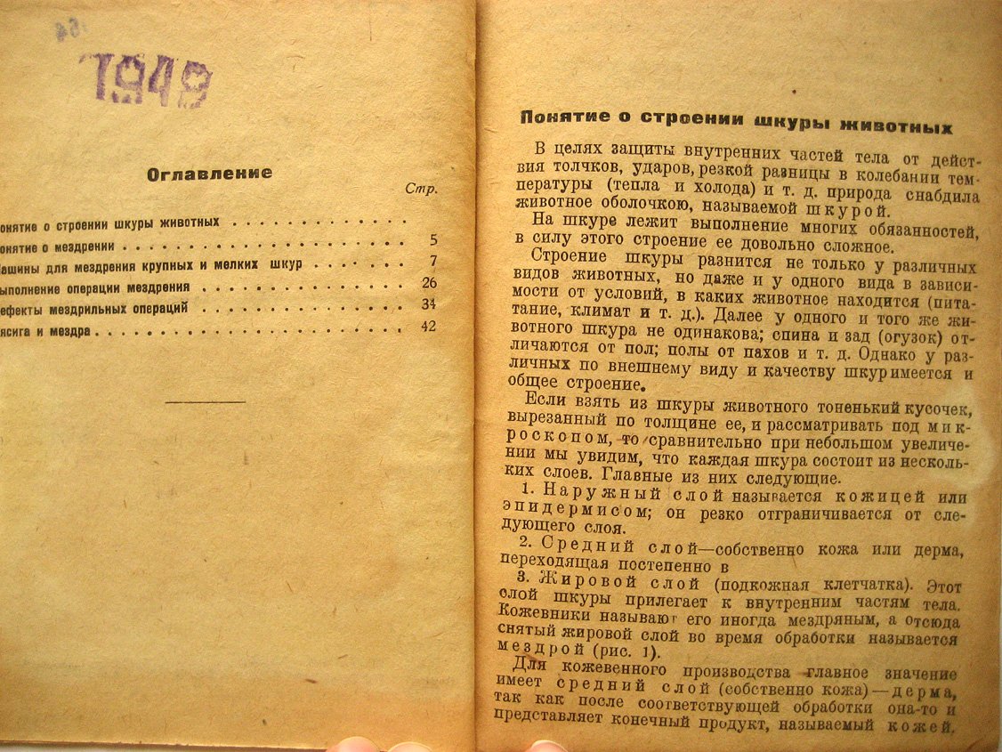 Бурков А. Размездривание и мездрение крупных и мелких кож.