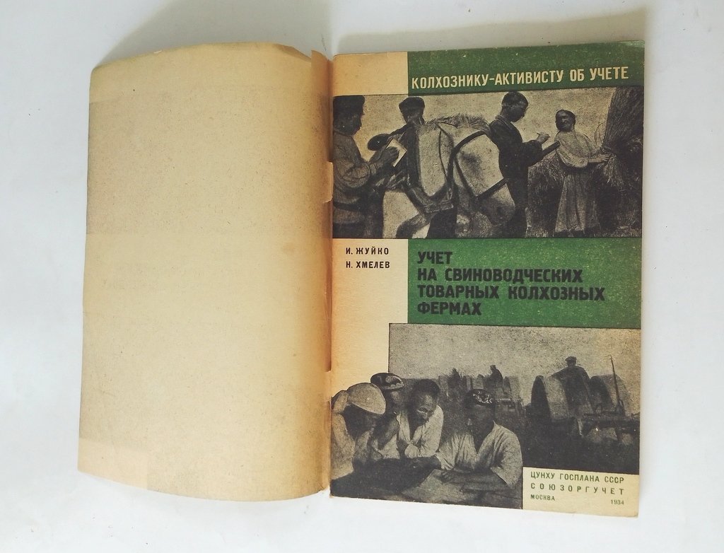 Жуйко, И., Хмелев, Н. Учет на свиноводческих товарных колхозных фермах.