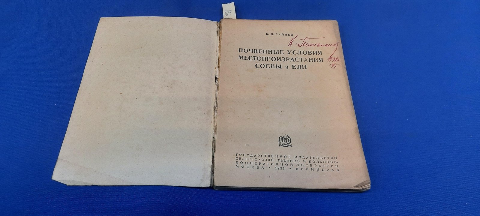 Зайцев Б.Д. Почвенные условия местопроизрастания сосны и ели.