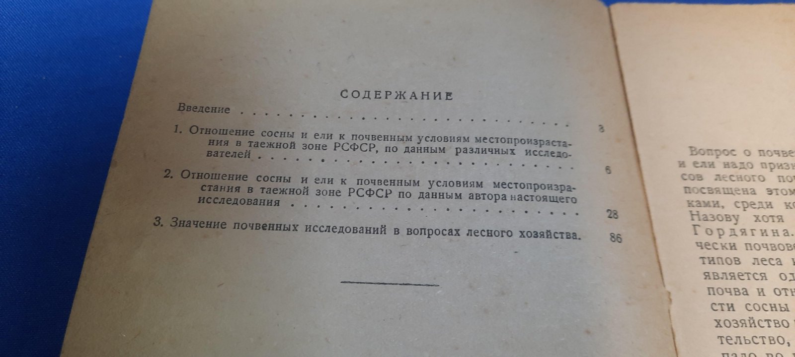 Зайцев Б.Д. Почвенные условия местопроизрастания сосны и ели.