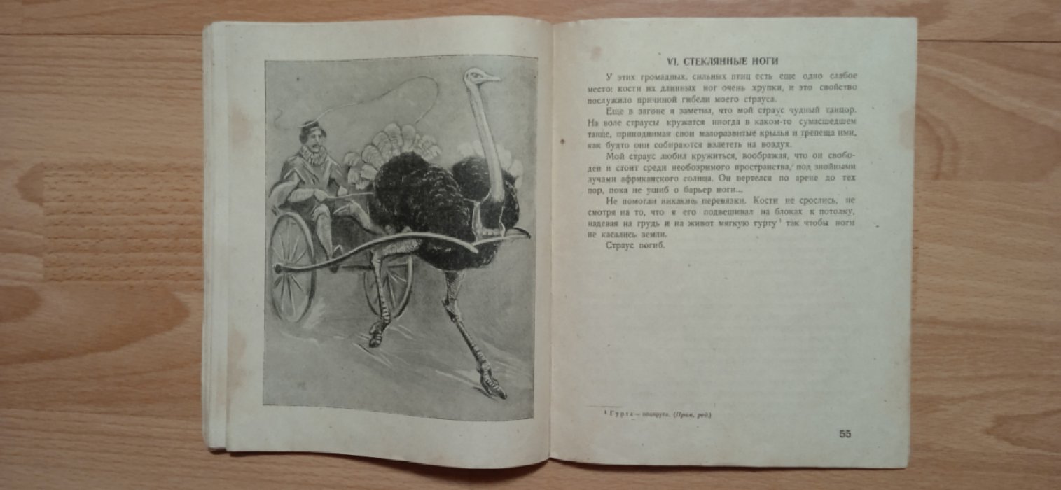 Дуров Владимир. Пернатые артисты. Рисунки Ватагина В. Дрессированные птицы дедушки Дурова.