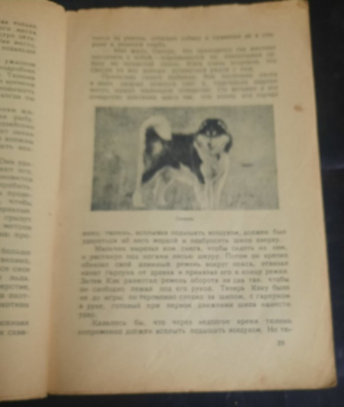 Ирвин В. Стэфенсон В. Кэк эскимосский мальчик.