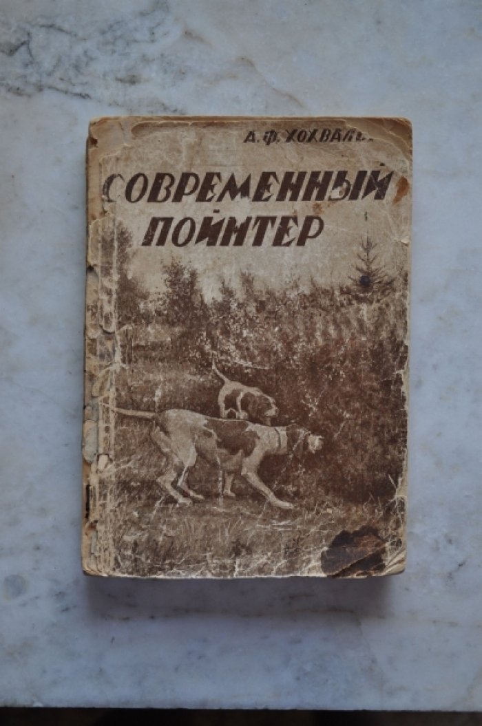 Хохваль А.Ф. Современный пойнтер.