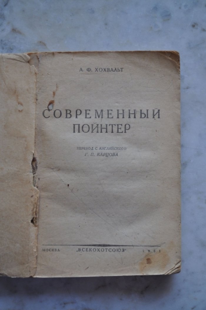 Хохваль А.Ф. Современный пойнтер.