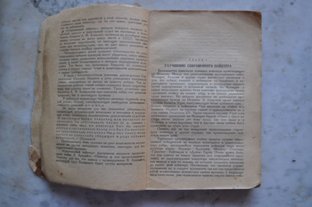 Хохваль А.Ф. Современный пойнтер.