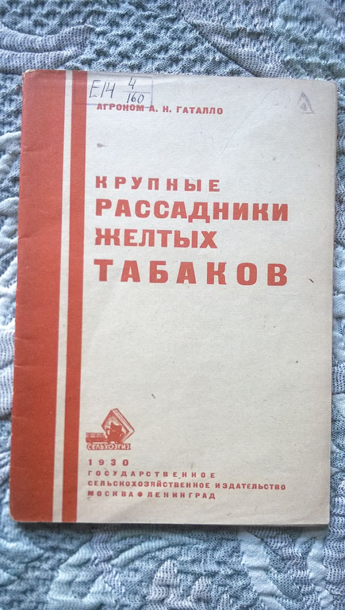 Агроном А.Н. Геталло (Гаталло). Крупные рассадники желтых табаков.