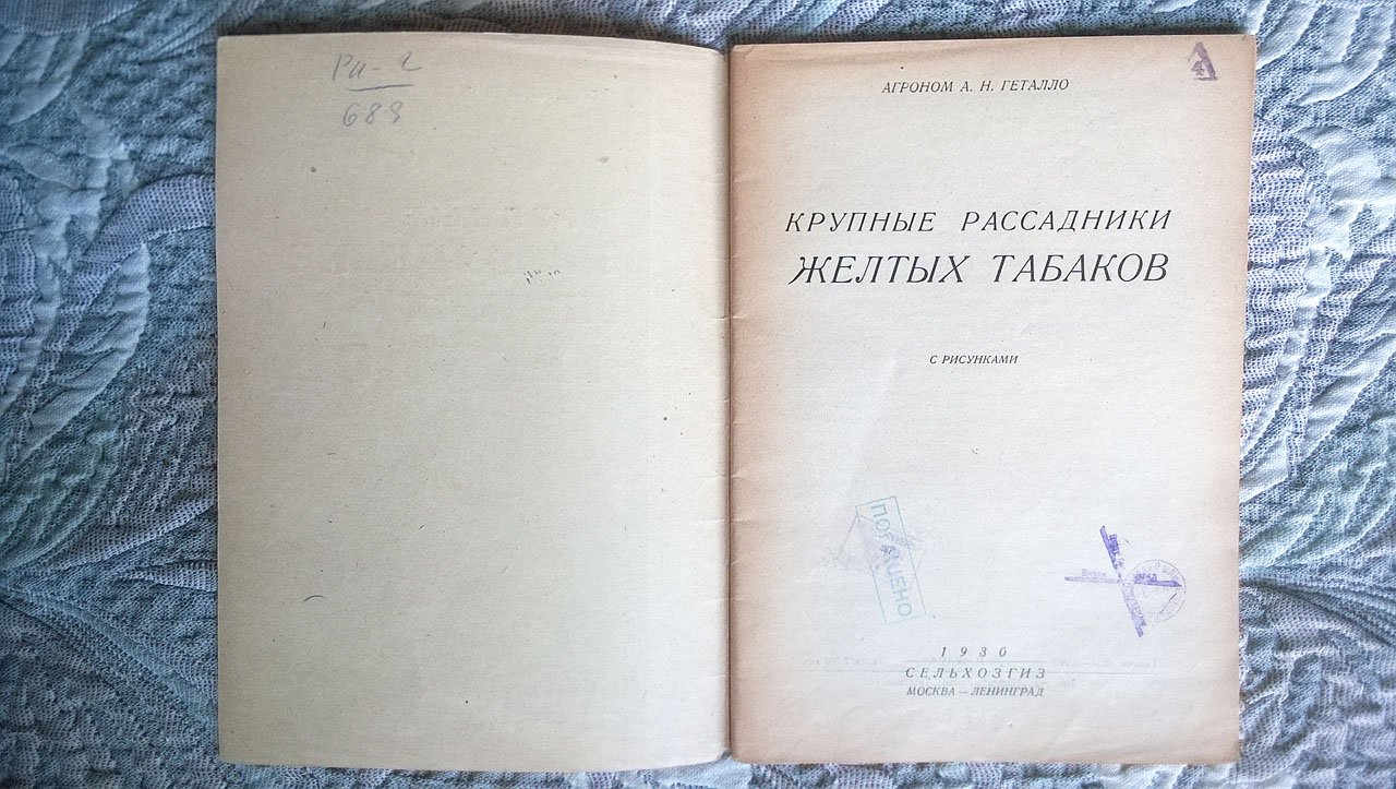 Агроном А.Н. Геталло (Гаталло). Крупные рассадники желтых табаков.