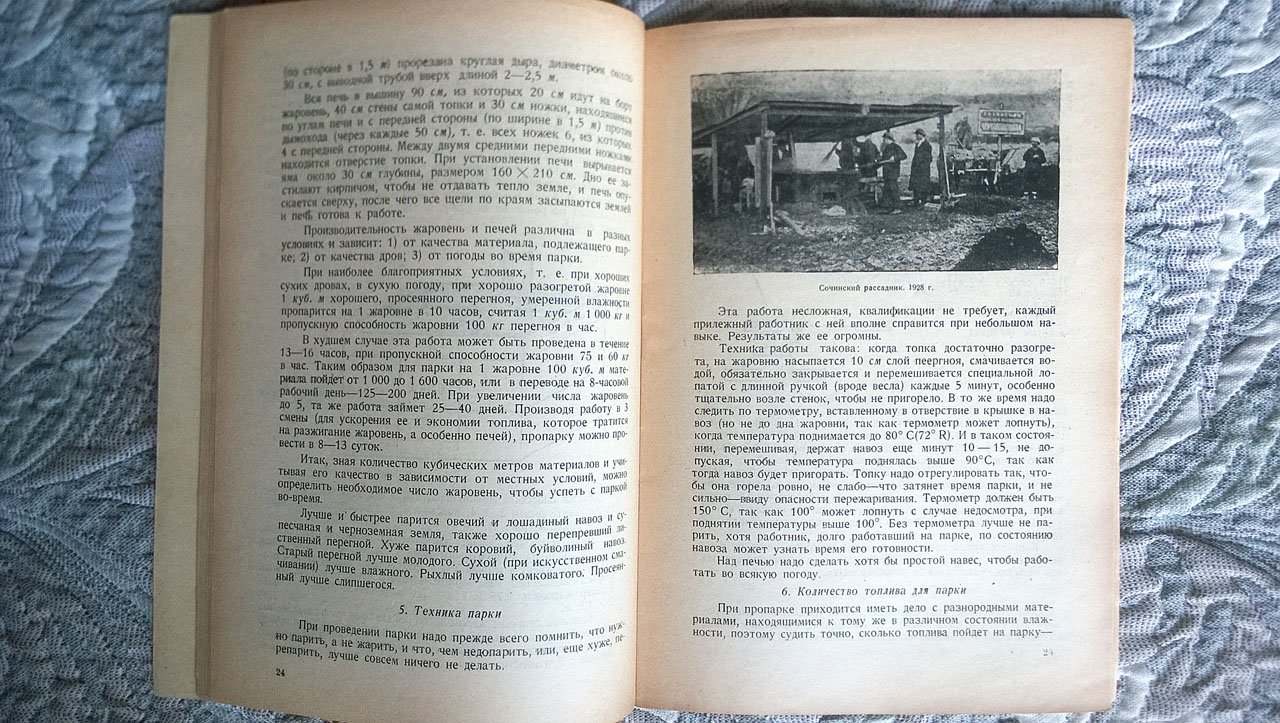 Агроном А.Н. Геталло (Гаталло). Крупные рассадники желтых табаков.