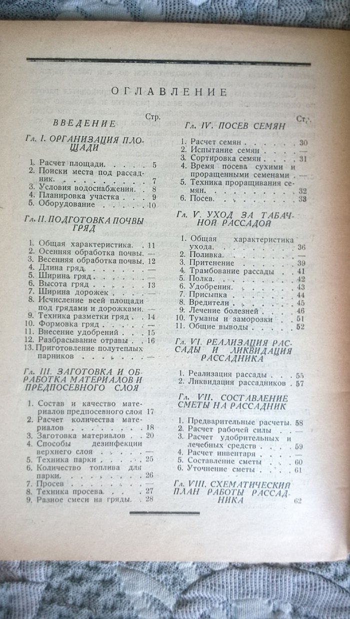 Агроном А.Н. Геталло (Гаталло). Крупные рассадники желтых табаков.