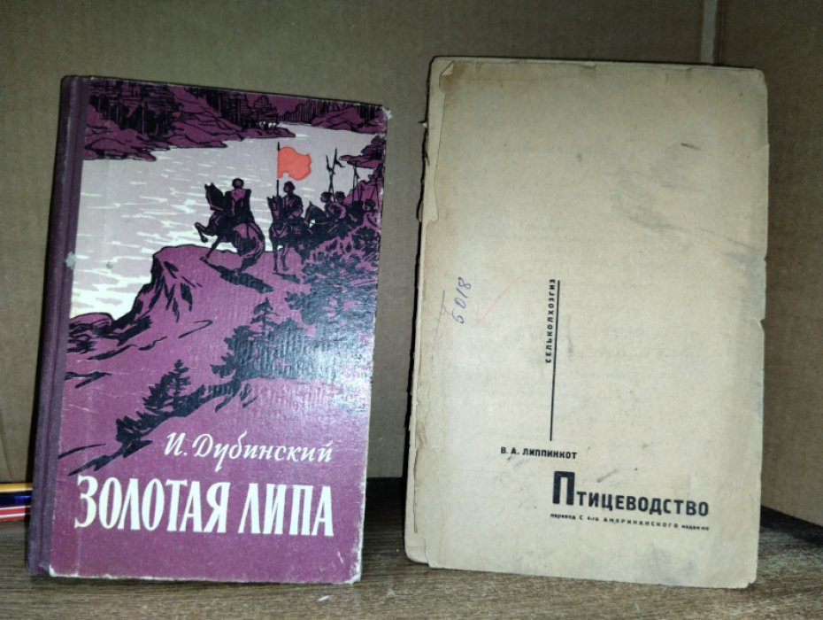 Липпинкот В.А. Птицеводство.