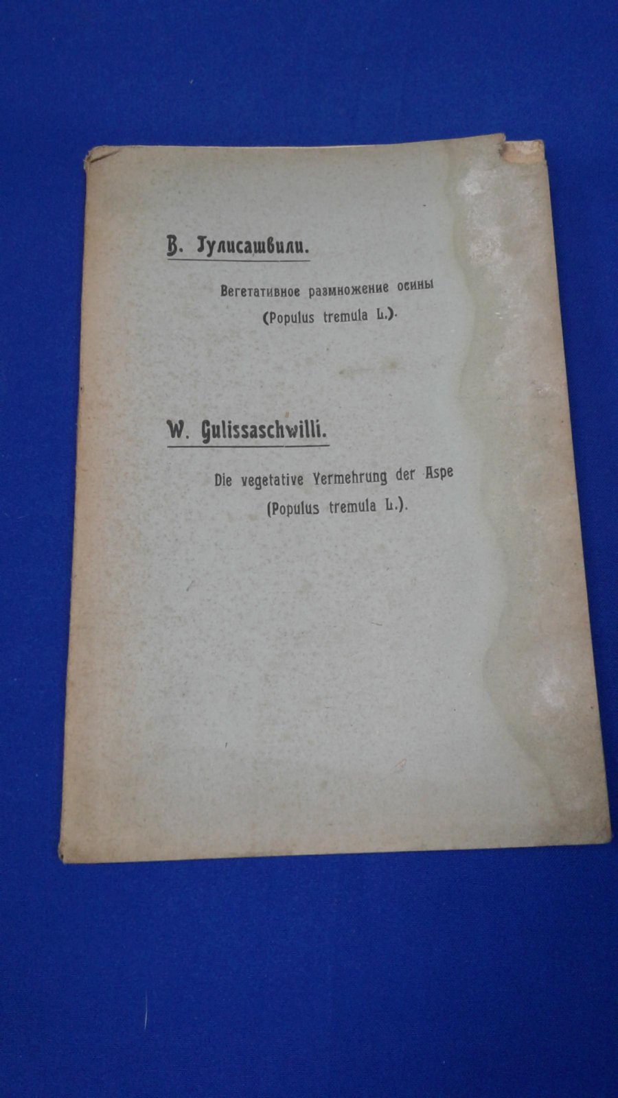 Гулисашвили В.З. Вегетативное размножение осины.