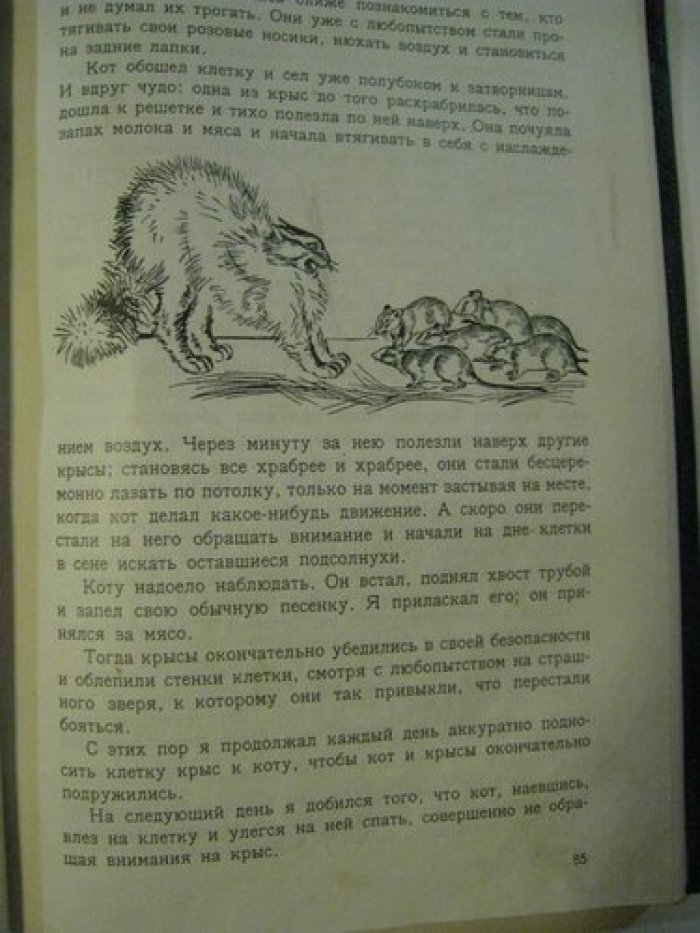 Дуров В.Л. Мои звери.