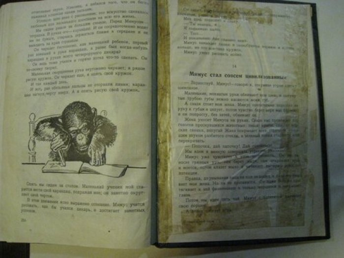 Дуров В.Л. Мои звери.