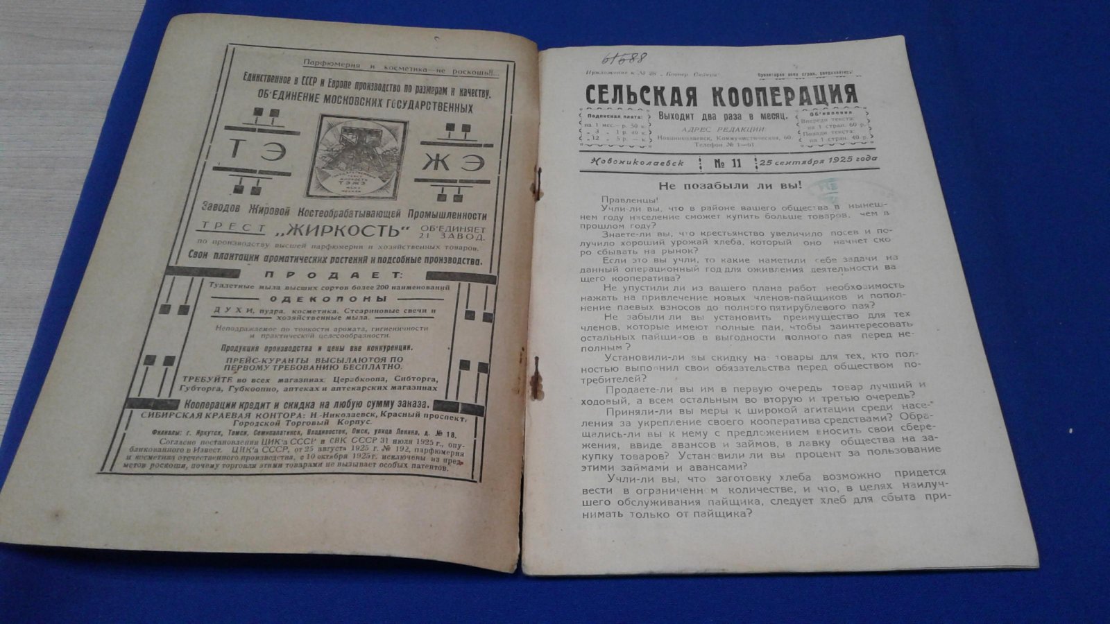 Сельская кооперация. 1925, № 11.