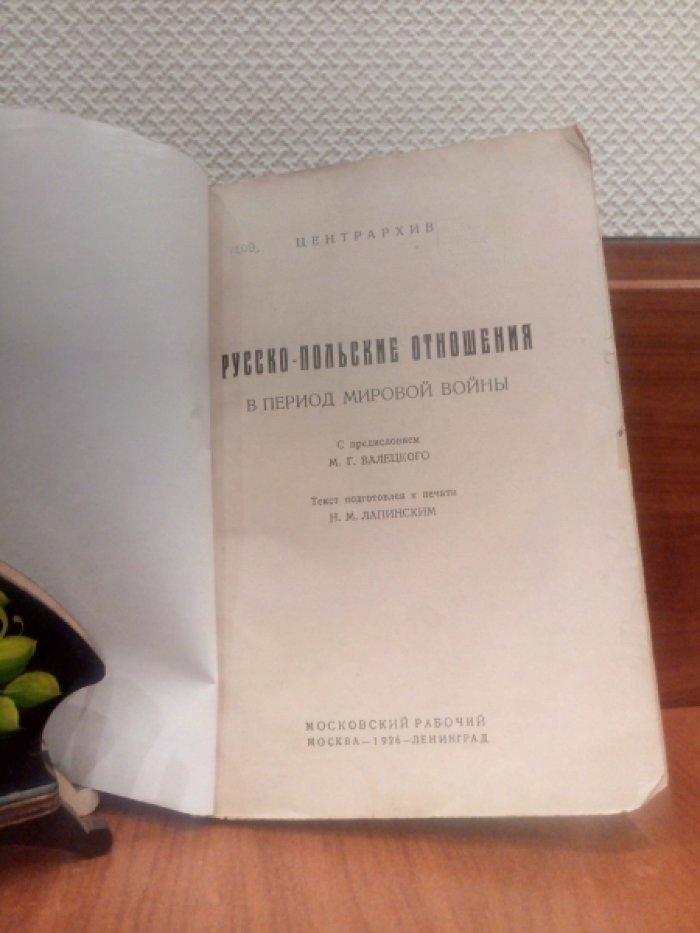 Русско-польские отношения в период мировой войны.