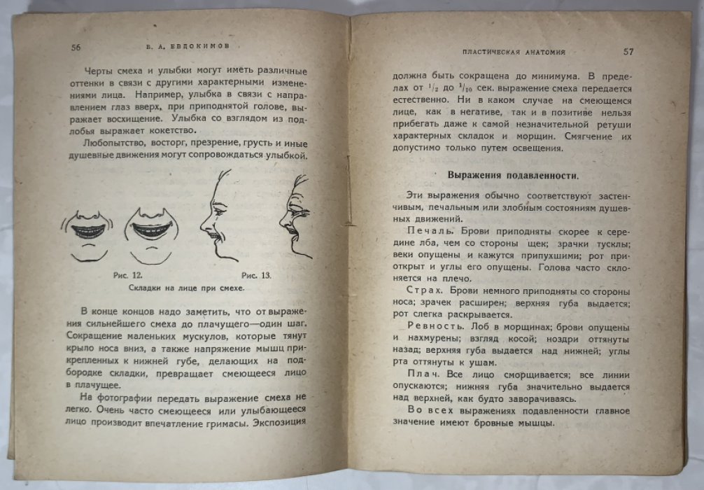 Евдокимов Б.А. Пластическая анатомия и перспектива для фотографов-портретистов.