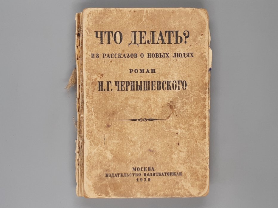 Чернышевский Н.Г. Что делать?