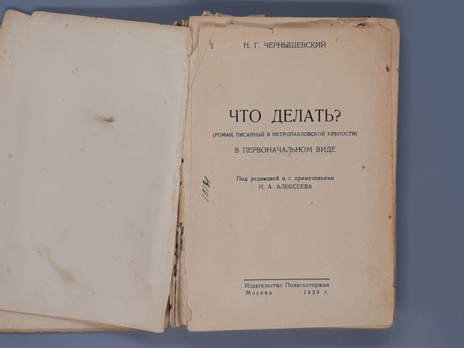 Чернышевский Н.Г. Что делать?