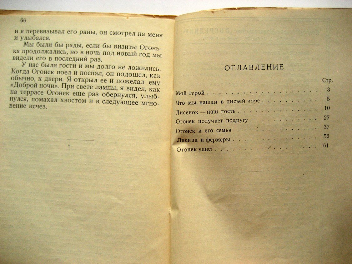 Байнс Е. Огонек. (The Sprite). История одного лисенка
