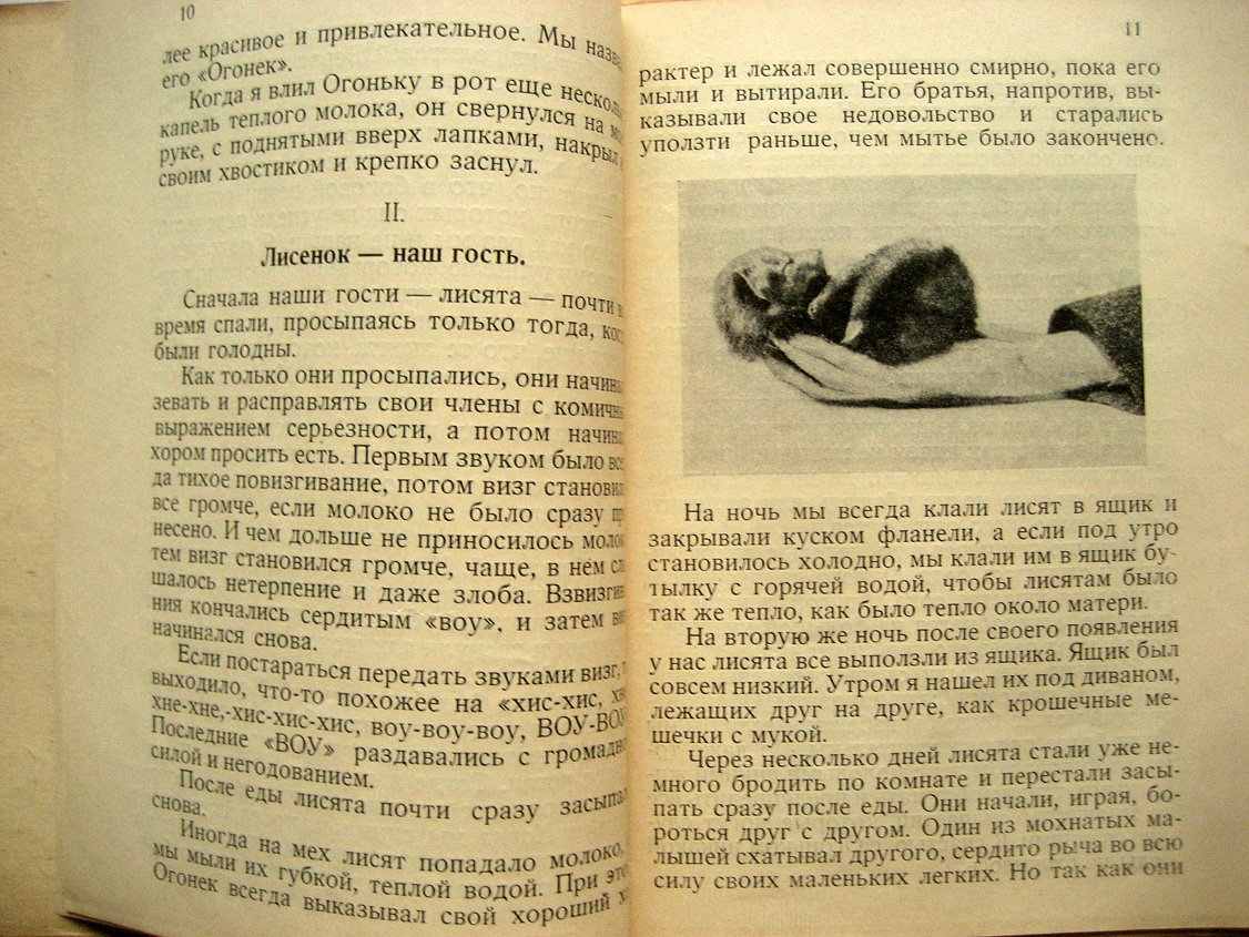 Байнс Е. Огонек. (The Sprite). История одного лисенка