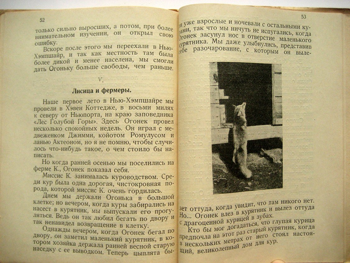 Байнс Е. Огонек. (The Sprite). История одного лисенка