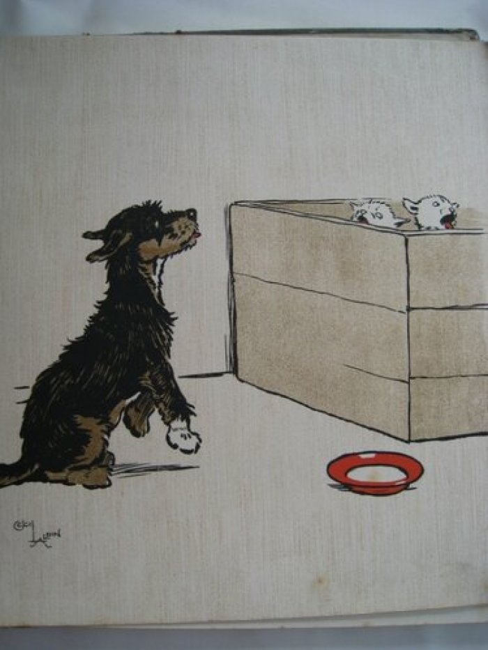 Aldin Cecil. The black puppy book.