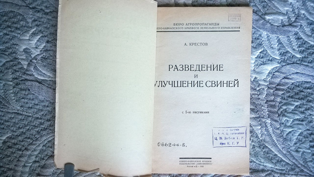 Крестов А. Разведение и улучшение свиней.