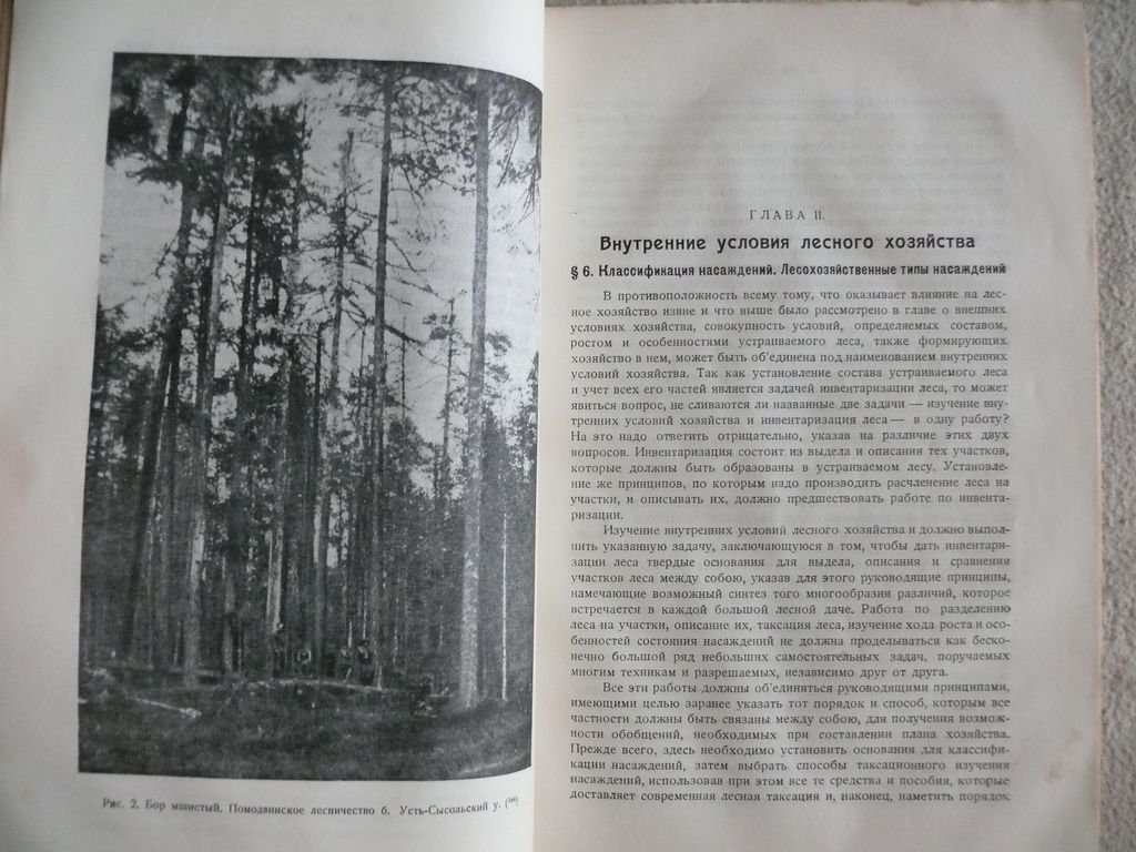 Орлов М. М. Лесоустройство. Том II. Подготовка планирования лесного хозяйств.
