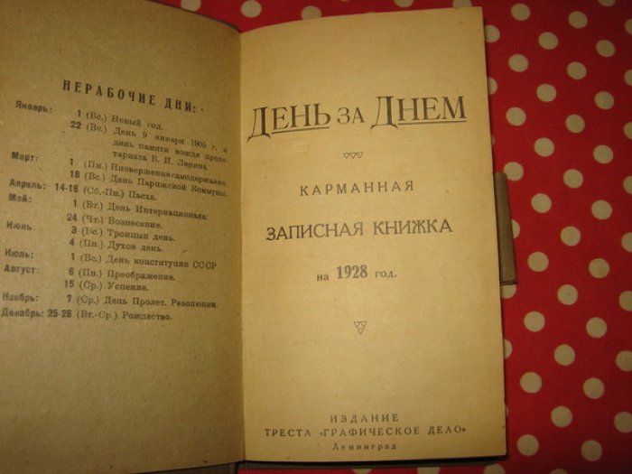 День за днем. Карманная записная книжка на 1928 год.