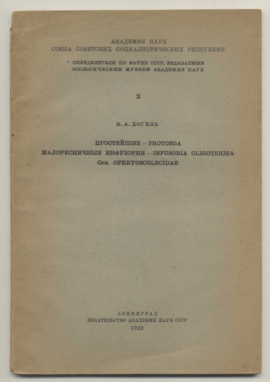 Догель В.А. Простейшие – Protozoa. Малоресничные инфузории – Infusoria oligotricha. Сем. Ophryoscolecidae.