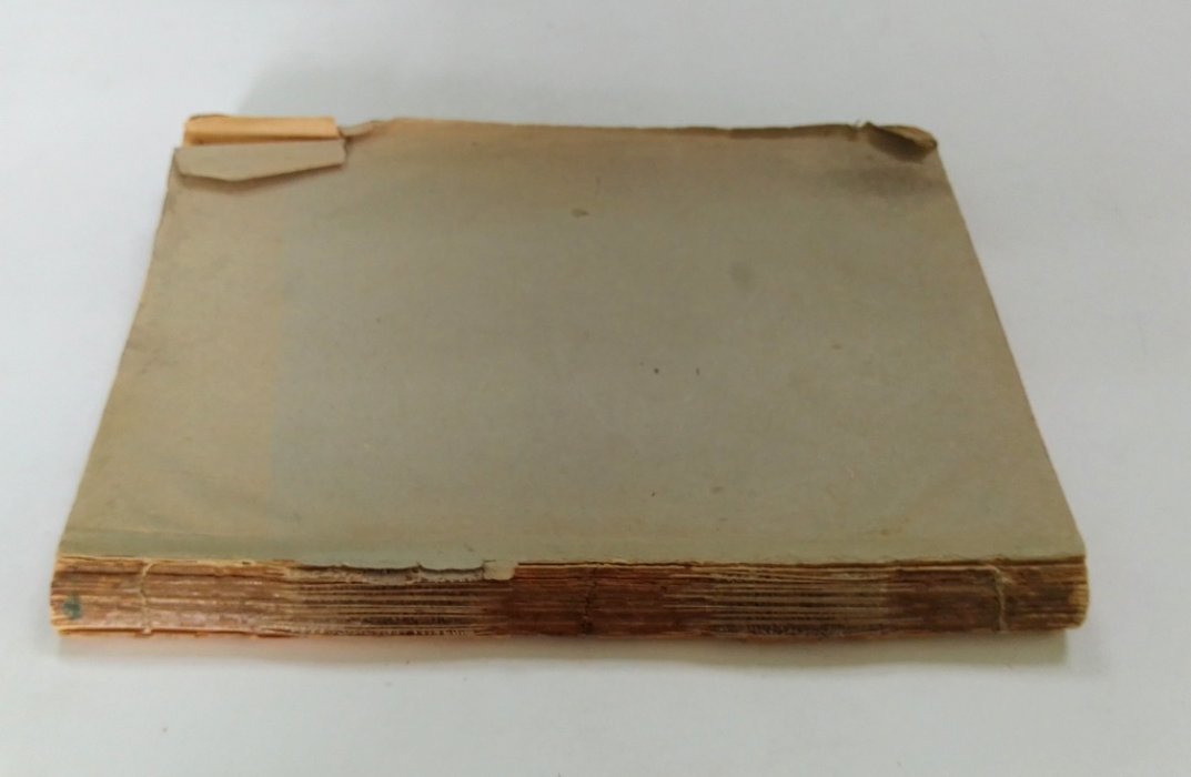 Лепешинский, П.Н. На повороте (от конца 80-х годов к 1905 г.)