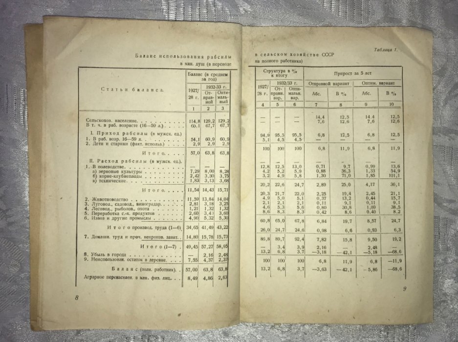 Струмилин С.Г. Социальные проблемы пятилетки 1928/29-1932/33.