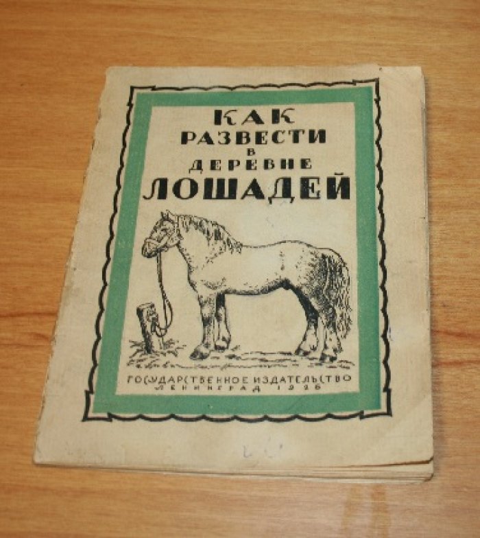 Марадудин Ф.П.  Как развести в деревне лошадей-тяжеловозов.