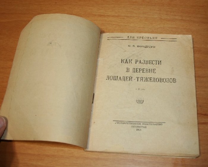 Марадудин Ф.П.  Как развести в деревне лошадей-тяжеловозов.