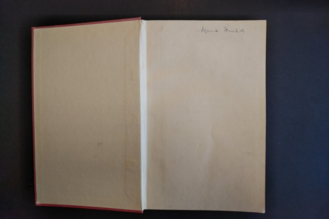 Дилнот Джордж (Dilnot, G ). История Скотланд-Ярда. 1829-1929.