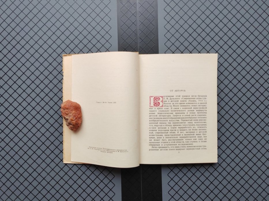Дульский П., Мексин Я. Иллюстрация в детской книге.