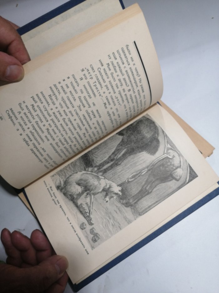 Приват, Гонзаго. Воспоминания собаки Мускуби.