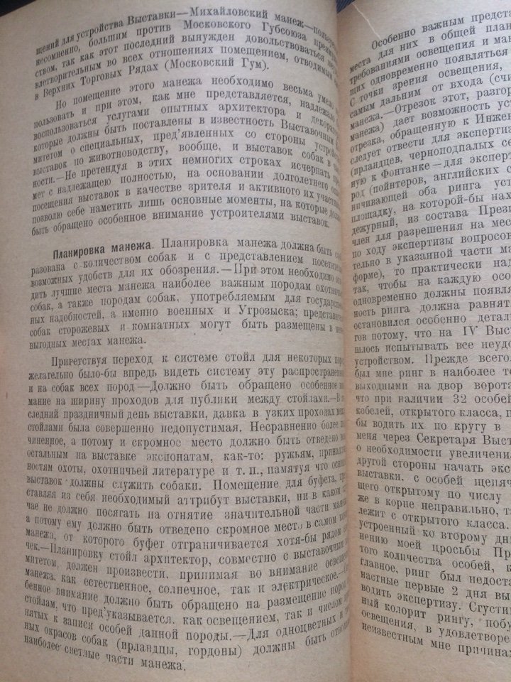 Отчет судей о 4-й выставке собак.