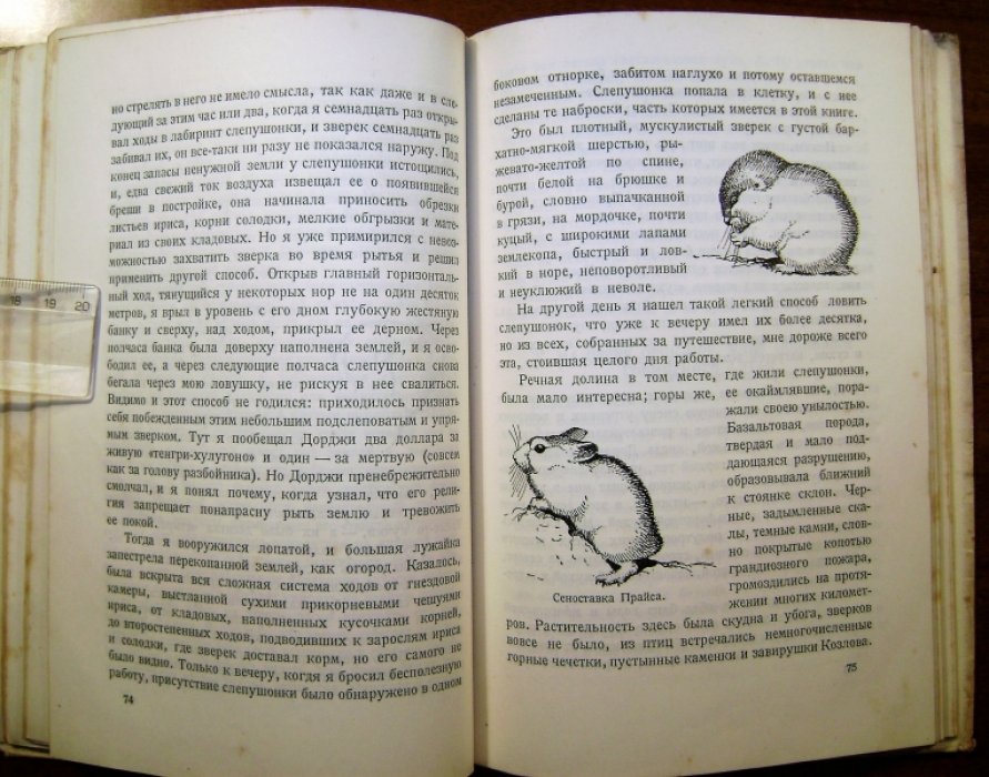 Формозов А.Н. В Монголии.