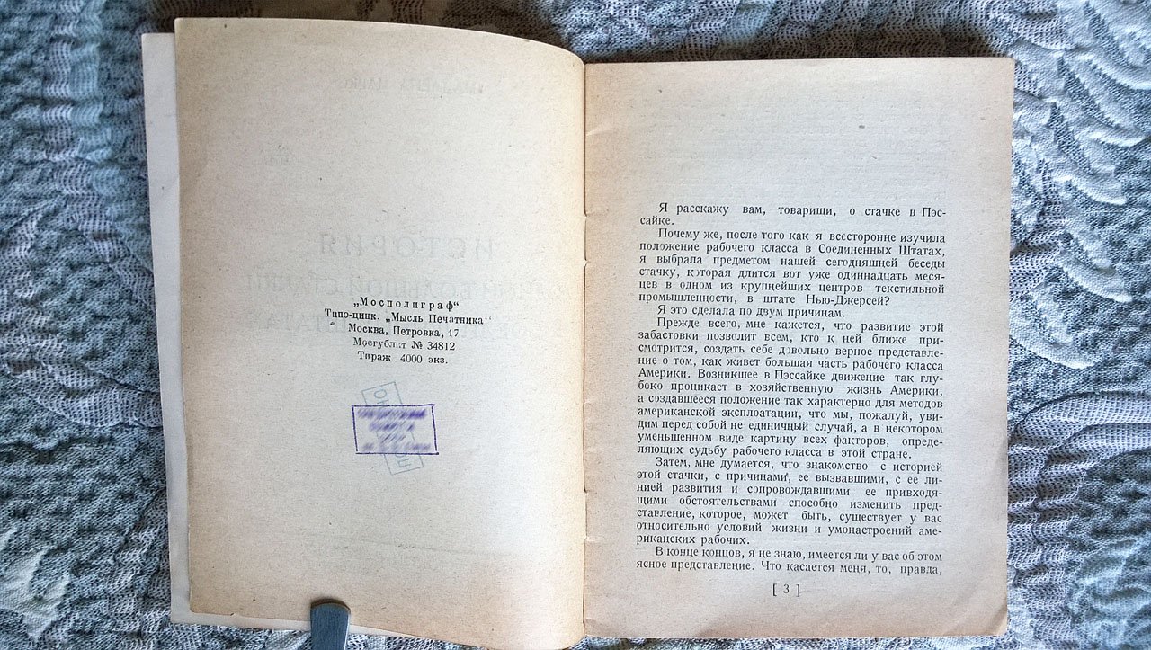 Мадлена Маркс. История одной большой стачки в Соединенных Штатах.