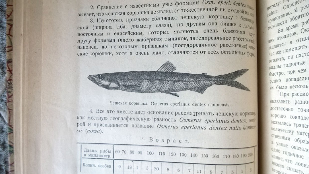 Экспедиция в Чешскую Губу 1925 г. под начальством Е.К. Суворова.