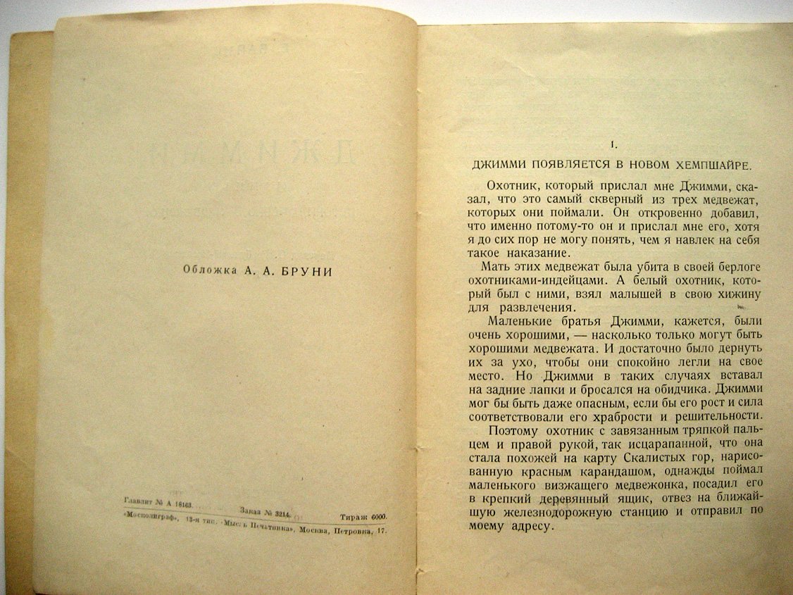 Байнс Е. Джимми. История черного медвежонка