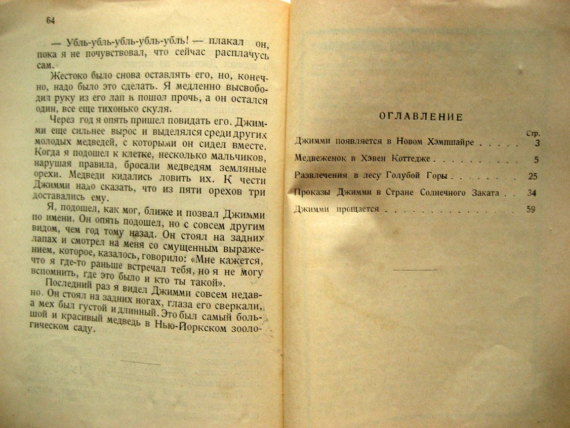 Байнс Е. Джимми. История черного медвежонка