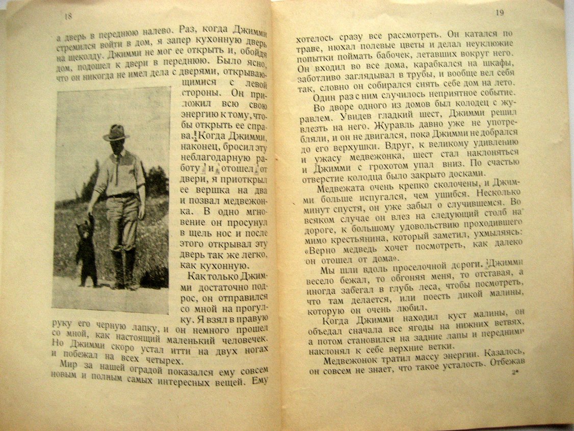 Байнс Е. Джимми. История черного медвежонка