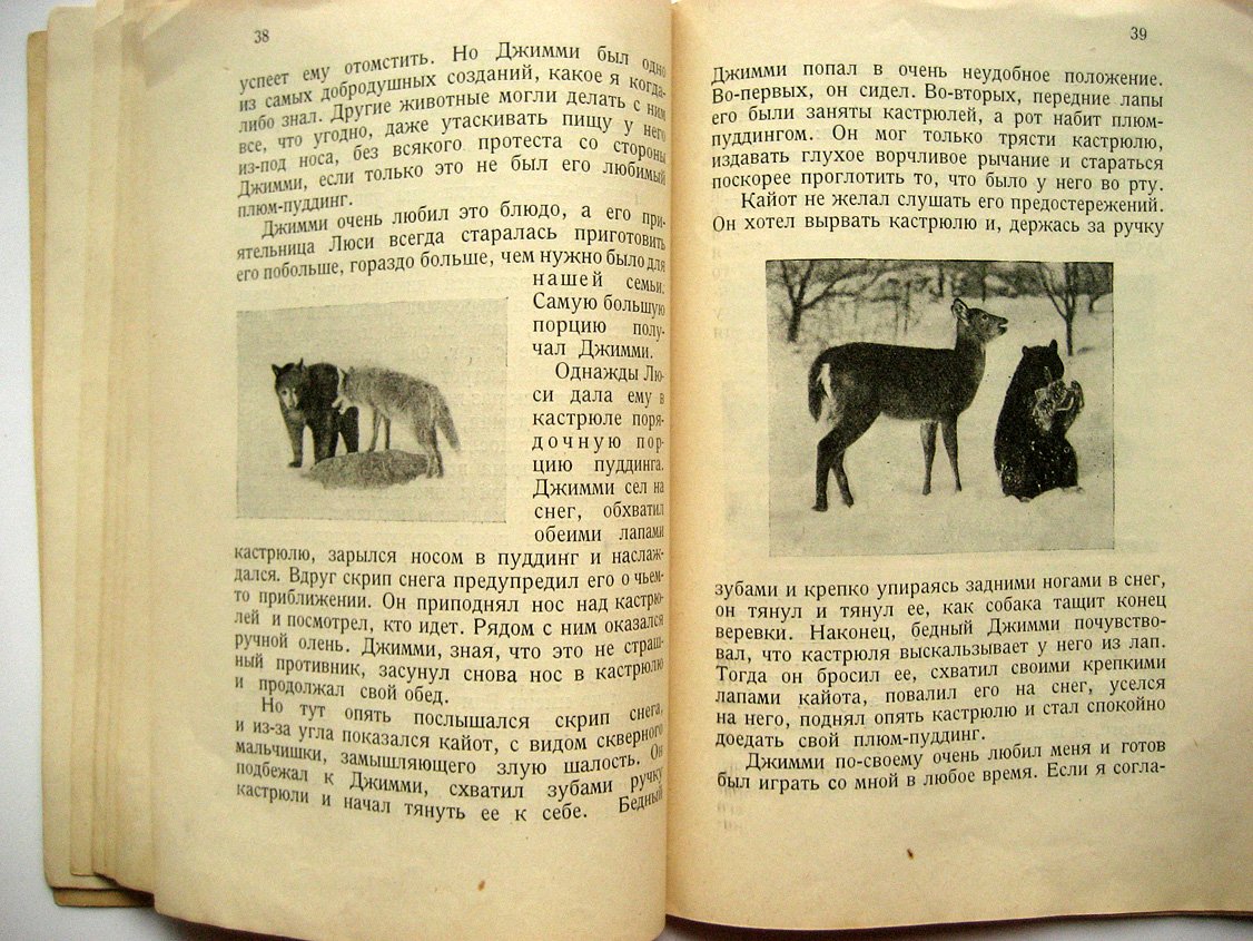 Байнс Е. Джимми. История черного медвежонка