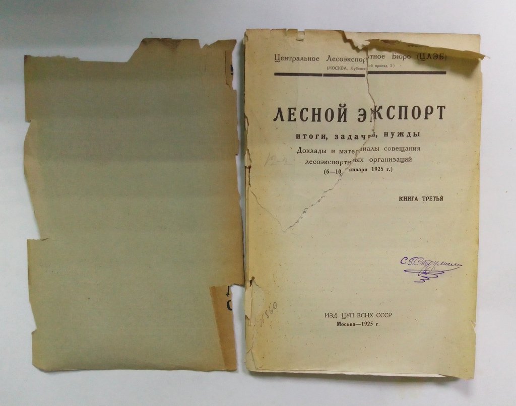 Лесной экспорт.